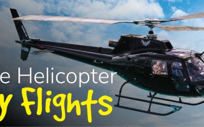 Elite Helicopters Joy Flights